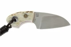 Böker Plus Gnome Stag 02BO268