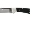 Buck 112 Ranger Pro 0112BKS5 Hunting Knife
