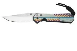 Chris Reeve Small Sebenza 31 Unique Graphic Drop Point 2023 S31-1400-23-A Pocket Knife