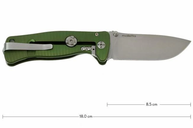 LionSteel SR-2A-GS, Aluminium, Green/mat