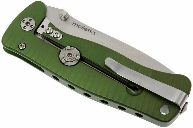 LionSteel SR-2A-GS, Aluminium, Green/mat - Image 4