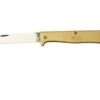 Otter Mercator 10-701 RG R Small Brass Stainless, Pocket Knife