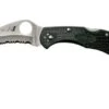 Spyderco Tasman Salt 2 C106SBK2 Pocket Knife