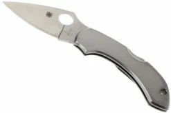 Spyderco Dragonfly C28P Pocket Knife