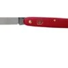 Victorinox Floral Knife 3.9050.B1 Red
